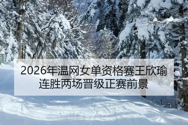 nian-wen-wang-nv-dan-zi-ge-sai-wang-xin-yu-lian-sheng-liang-chang-jin-ji-zheng-sai-qian-jing-2-701.jpg